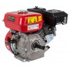 Двигатель бензиновый четырехтактный DDE 170F-Q19