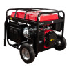 Бензиновый генератор DDE DPG4501