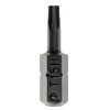 Бита отверточная Torx Tamper-15 х 25мм (2шт), блистер